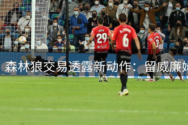 森林狼交易透露新动作：留威廉姆斯 裁康查尔 或签库明加